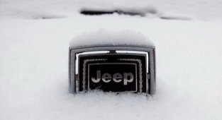 Jeep Вам в ленту (30 фото)