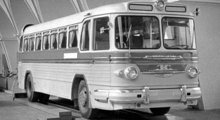 Самые красивые автобусы в СССР (47 фото)