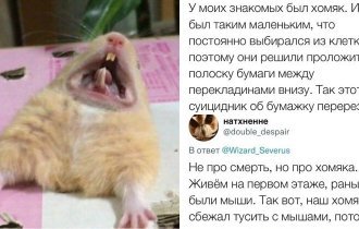 Хомяки и конкурс на самую нелепую смерть: в Твиттере поделились рассказами о домашних питомцах (17 фото)