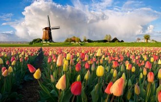 Голландия и Нидерланды – это одно и то же? (5 фото)