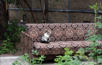 Красиво жить не запретишь: мебель, ковры и другие предметы роскоши в российских дворах (28 фото)