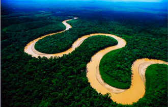 Почему через Амазонку не построили ни одного моста? (3 фото)