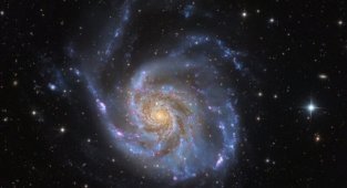 Коллективная астрофотография: космическая красота (6 фото)