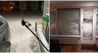 Фото, які показують, що зима — гарна, але сувора пора року (17 фото)