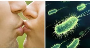 20 кратких и увлекательных фактов о человеческом теле (21 фото)