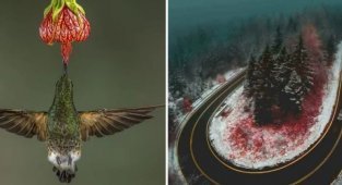 15 познавательных снимков, которые помогут взглянуть на мир по-новому (16 фото)