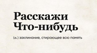 18 метких и забавных определений из честного словаря (20 фото)