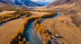 Красивые фотографии природы (29 фото)