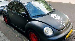 Volkswagen Beetle Вам в ленту (30 фото)