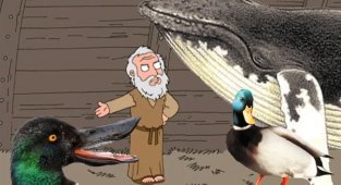 Широконоска: Хищная утка с сотнями «зубов» внутри клюва. Выглядит как древнегреческий монстр (7 фото)