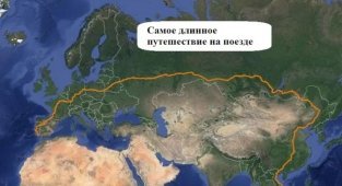 Где самые волосатые мужчины: 12 занимательных карт (13 фото)