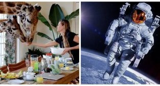 10 необычных фактов, которые кажутся выдумкой (11 фото)