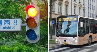 30 вещей, абсолютно нормальных для некоторых стран и удивительных для остального мира (31 фото)