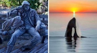 50 знімків, які порадують вашого внутрішнього перфекціоніста (51 фото)
