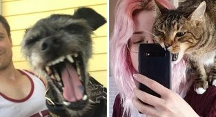 15 забавных фото, когда люди пытались сделать селфи с питомцем (16 фото)
