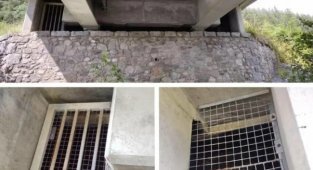 10 загадкових речей, про призначення яких відразу і не здогадаєшся (11 фото)