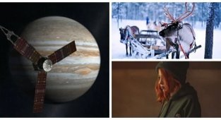 Интересные факты с просторов интернета (31 фото)