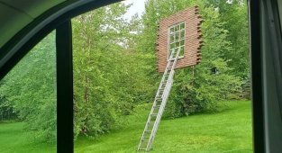Наша реальность сломана полностью и этот пост тому полное подтверждение (30 фото)