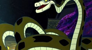 Tiger python and interesting facts about it (11 photos)