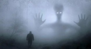 7 странных фобий, о которых вы не подозревали (9 фото)