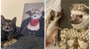 30 юмористических "королевских" портретов домашних животных (31 фото)