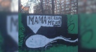 Неожиданные надписи, которые можно увидеть только в России (21 фото)