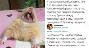 Хомяки и конкурс на самую нелепую смерть: в Твиттере поделились рассказами о домашних питомцах (17 фото)