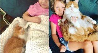 20+ трогательных фото о том, как быстро растут наши любимые котейки (31 фото)