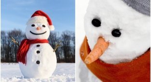 Почему у снеговика вместо носа морковка (7 фото)