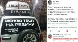 Когда теща и свекровь достали. Поймут те, кто жил с "мамой" (20 фото)