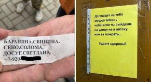 Объявления: ни дня без прикола (18 фото)