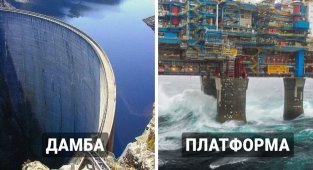 19 тревожных фотографий, которые наглядно покажут, что такое мегалофобия (20 фото)