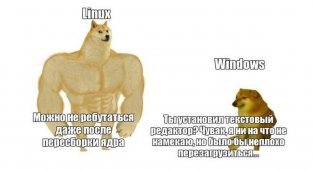 Схватка началась: Windows vs Linux (14 фото)