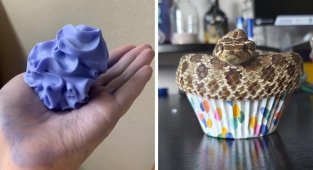 15 несъедобных вещей, которые выглядят аппетитно (16 фото)