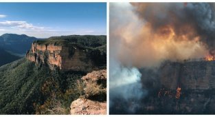 21 фотография, демонстрирующая последствия ужасающих лесных пожаров в Австралии (21 фото)