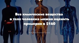 20 классных коротких фактов о человеке и человечестве (1 фото)