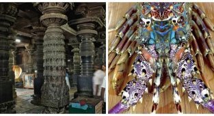 15 необычностей, которые попались путешественникам (15 фото + 1 видео)