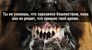 Научные факты, которые действительно пугают (16 фото)