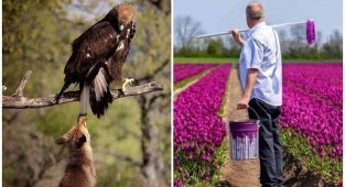 40 забавных фотографий для того, чтобы отвлечься и развлечься (41 фото)