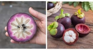 12 exotic fruits from around the world (13 photos)