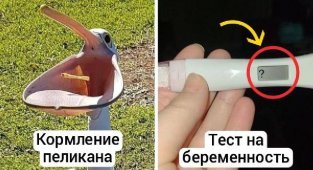 Забавные и увлекательные фотографии, которые сделают день ярче и покажут нечто новое (30 фото)
