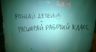 Надписи с тонким налётом юмора, которые могли появиться только в России (16 фото)