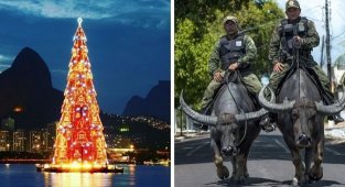 19 photos from Brazil that prove that this country is one of a kind (20 photos)