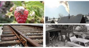 20 картинок с запахом, который вы пронесете через всю жизнь (21 фото)