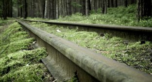 Романтика заброшенной железной дороги (30 фото)