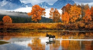 Потрясающая красота осени в разных уголках мира (22 фото)