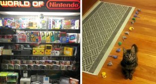 30 необычных и забавных коллекций, которыми похвастались пользователи сети (31 фото)