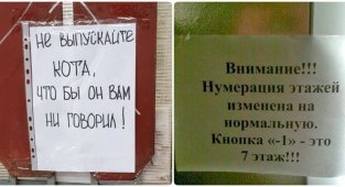 Смешные и неоднозначные объявления из России, от которых по телу побегут мурашки (18 фото)