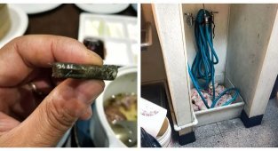 33 вопиющих случая, произошедших в общепите (34 фото)