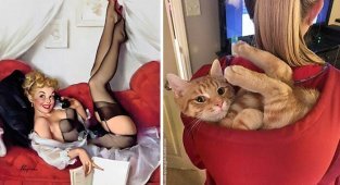 Пин-ап-девушки против кошек в борьбе за вашу любовь (26 фото)